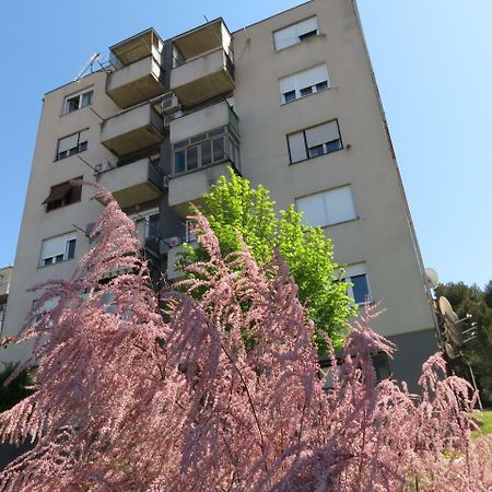Pineta25 Apartment พูลา ภายนอก รูปภาพ